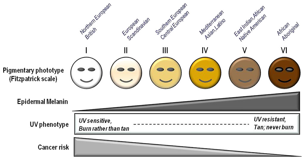 Fitzpatrick Scale or Skin Typing Test