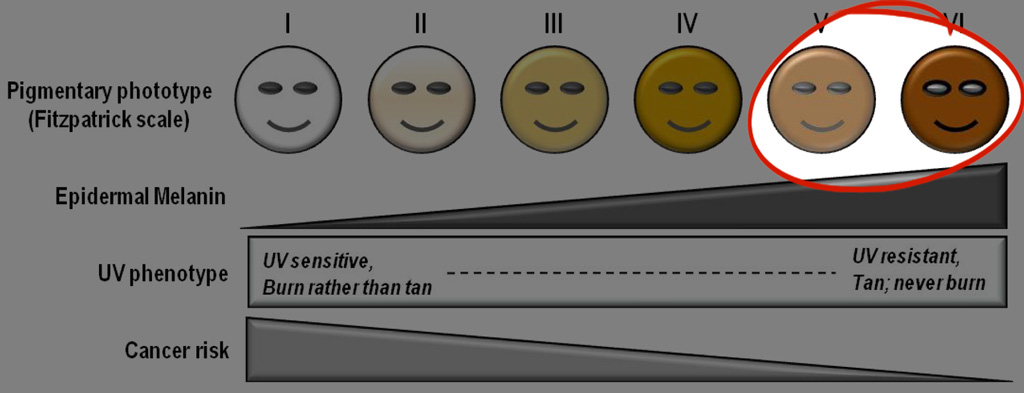 Fitzpatrick Skin Type V and VI